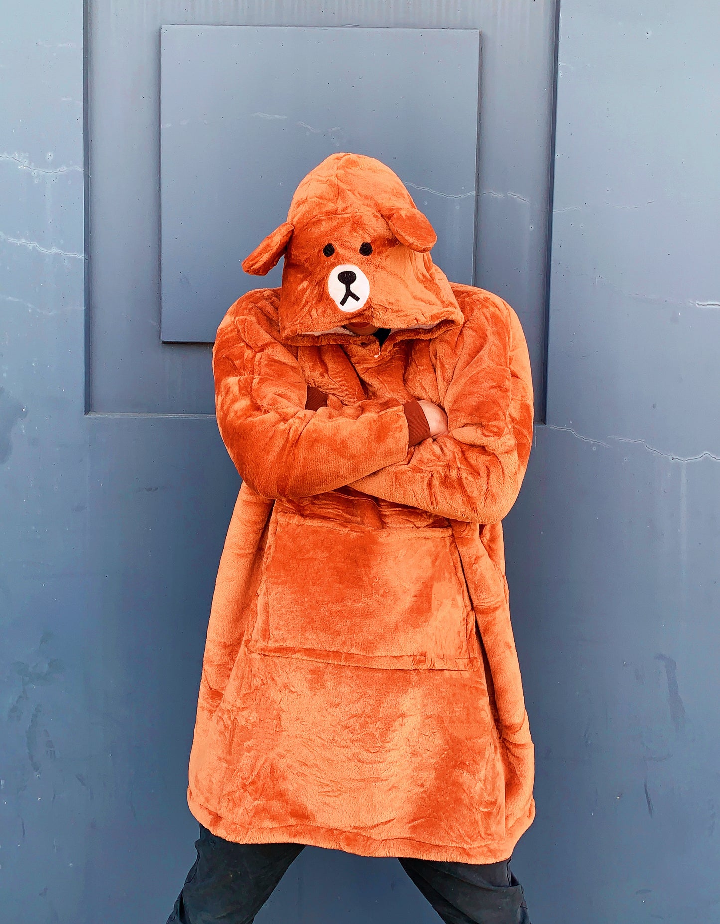 OVERSIZE HOODIE bear OVERSIZE HOODIE HOODIE