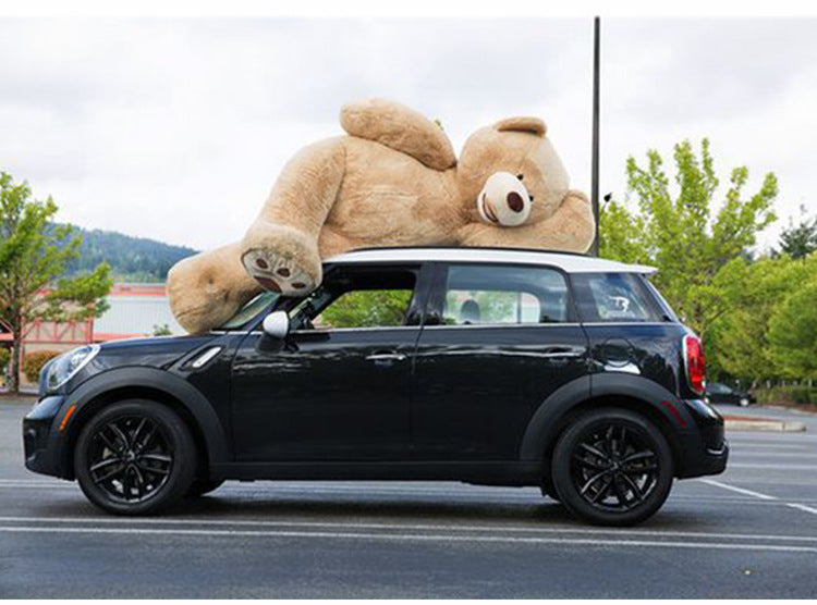 gaint bear! birthday gift idea