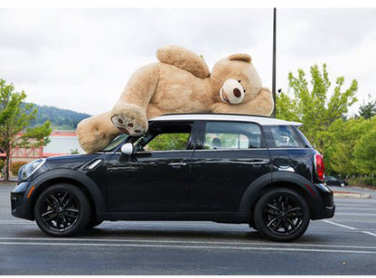 gaint bear! birthday gift idea