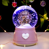 Ferris wheel CRYSTAL MUSIC BALL -MUSIC LIGHTING SNOWING gift birthday gift girl gift